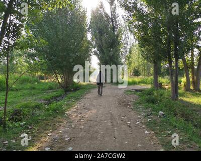 (191101) - Taschkent, Nov. 1, 2019 (Xinhua) - ein Mann auf der Straße innerhalb der Mingtepa antike Stadt in Andischan in Usbekistan, Aug 6, 2019. Das Ferghana-tal im Westen der Pamir, einer der am dichtesten besiedelten Regionen Zentralasiens, für die kostbaren Ferghana Pferderasse und ein wichtiger Knotenpunkt auf der alten Seidenstraße bekannt, seit Wissenschaftler und Forscher aus der ganzen Welt seit Jahrzehnten. Im Jahr 2012 wurde eine gemeinsame internationale archäologischen Expedition der chinesischen und der usbekische Wissenschaftler begonnen, die die alte Siedlung von Mingtepa, ein "lebendes Fossil" der Seidenstraße dating Stockfoto