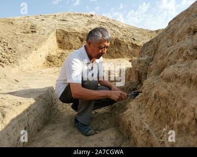 (191101) - Taschkent, Nov. 1, 2019 (Xinhua) - ein Wissenschaftler arbeitet in einem Grab in der antiken Siedlung von Mingtepa, Andijan, Usbekistan, Aug 6, 2019. Das Ferghana-tal im Westen der Pamir, einer der am dichtesten besiedelten Regionen Zentralasiens, für die kostbaren Ferghana Pferderasse und ein wichtiger Knotenpunkt auf der alten Seidenstraße bekannt, seit Wissenschaftler und Forscher aus der ganzen Welt seit Jahrzehnten. Im Jahr 2012 wurde eine gemeinsame internationale archäologischen Expedition der chinesischen und der usbekische Wissenschaftler begonnen, die die alte Siedlung von Mingtepa, ein "lebendes Fossil" der Seidenstraße Stockfoto