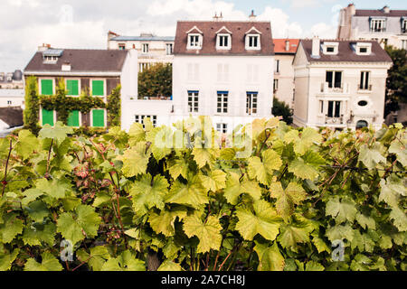 Weinberg Montmartre in Paris, mit Architektur anzeigen Stockfoto