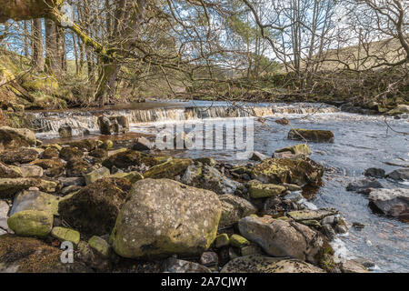 Eine attraktive Cascade auf Langdon Beck, Obere Teesdale, im frühen Frühling Sonnenschein Stockfoto