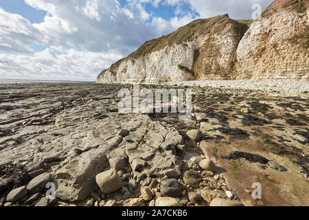 Flamborough Head Beach chalk White Cliffs und Meer, East Yorkshire, Großbritannien Stockfoto