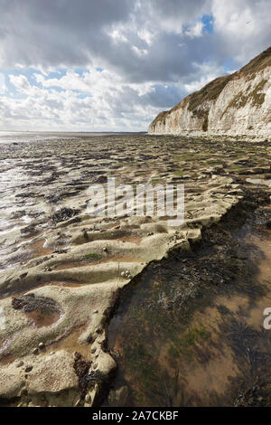 Flamborough Head Beach Chalk weißen Felsen und Meer nördlich von Bridlington, East Yorkshire, Großbritannien Stockfoto