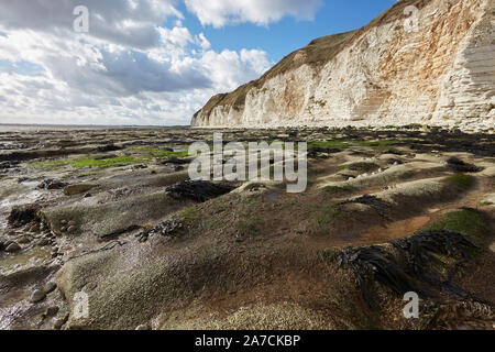 Flamborough Head Beach Chalk weißen Felsen und Meer nördlich von Bridlington, East Yorkshire, Großbritannien Stockfoto