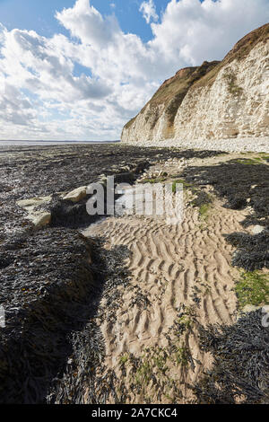 Flamborough Head Beach Chalk weißen Felsen und Meer nördlich von Bridlington, East Yorkshire, Großbritannien Stockfoto