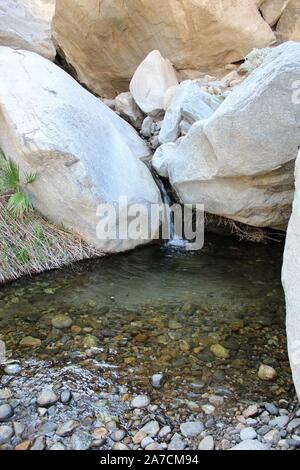 Seltene Wasserfälle in der Colorado Wüste, dieser Fütterung Palm Canyon Oase, das Flüstern der alten Geheimnisse der indianischen Spiritualität. Stockfoto