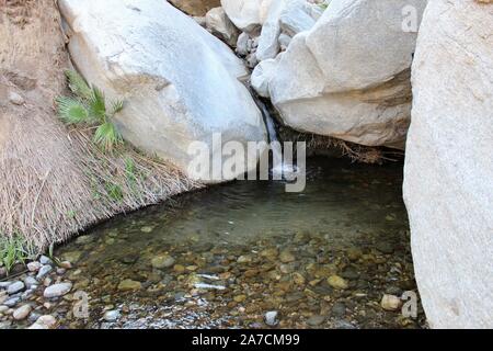 Seltene Wasserfälle in der Colorado Wüste, dieser Fütterung Palm Canyon Oase, das Flüstern der alten Geheimnisse der indianischen Spiritualität. Stockfoto