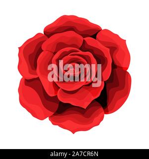 Rose Hand zeichnen und gefärbt. Eine blühende Rose. Vector Illustration. Stock Vektor