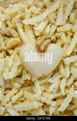 Allgemeine Ansichten von Harry's Fish and Chip Shop in Chichester, West Sussex, UK. Stockfoto