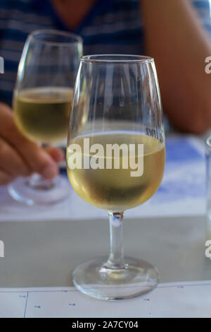 Sherry Wein Tasting, trocken oder Palomino Fino, Manzanilla Jerez mit Alkohol angereicherter Wein in Gläsern, Jerez de la Frontera, Andalusien, Spanien in der Nähe von Stockfoto