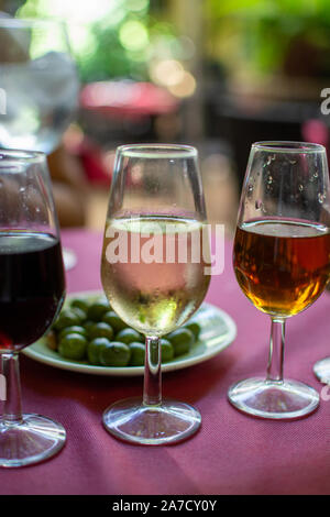 Sherry Wein Tasting, Auswahl an verschiedenen Jerez angereicherte Weine im Glas von trocken bis sehr süß, Jerez de la Frontera, Andalusien, Spanien Stockfoto