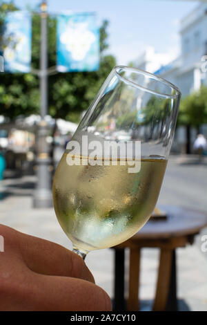 Sherry Wein Tasting, trocken oder Palomino Fino, Manzanilla Jerez mit Alkohol angereicherter Wein in Gläsern, Jerez de la Frontera, Andalusien, Spanien in der Nähe von Stockfoto