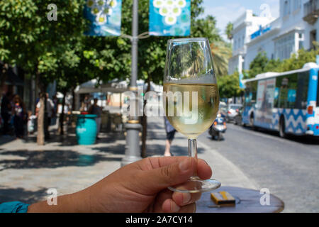 Sherry Wein Tasting, trocken oder Palomino Fino, Manzanilla Jerez mit Alkohol angereicherter Wein in Gläsern, Jerez de la Frontera, Andalusien, Spanien in der Nähe von Stockfoto