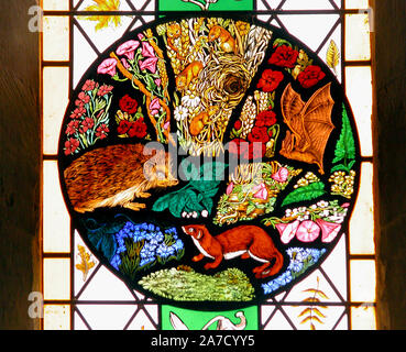 Detail der Glasfenster in der Kirche von St. Mary's, Selborne, Hampshire, zum Gedenken an den berühmten naturforscher Gilbert weiß C 18. Stockfoto