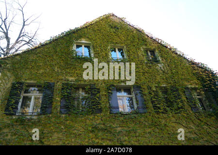 Hausfassade mit wilder Wein im Herbst in einem Park fotografiert überwachsen Stockfoto