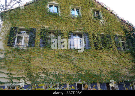 Hausfassade mit wilder Wein im Herbst in einem Park fotografiert überwachsen Stockfoto