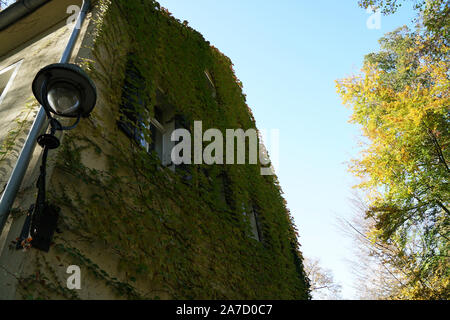 Hausfassade mit wilder Wein im Herbst in einem Park fotografiert überwachsen Stockfoto