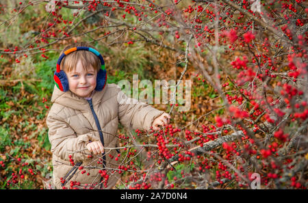 Kleiner Junge an einem Herbsttag in der Nähe der Obst baum Rosa Moschata, bekannt als der Weißdorn oder Single - Weißdorn gesät, Blume, Major, blackthorn. Stockfoto