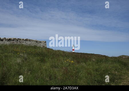 Tarbat Ness Lighthouse, Easter Ross Stockfoto