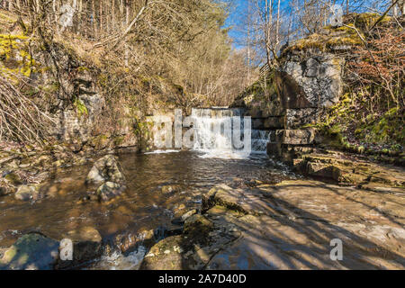 Wasserfall auf Bogen Lee Beck, Obere Teesdale im Frühjahr Stockfoto