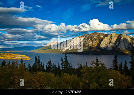 Herbst Blick auf Tagish Lake und Bove Insel, in der Nähe von Carcross, Yukon, Kanada. Stockfoto