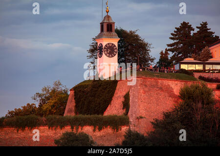 Turm der Festung Petrovaradin in Novi Sad. Novi Sad, Vojvodina, Serbien. Stockfoto