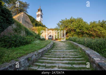 Turm der Festung Petrovaradin in Novi Sad. Novi Sad, Vojvodina, Serbien. Stockfoto