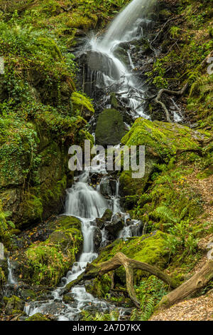 Wasserfall laufen in den Burrator Vorratsbehälter auf Dartmoor in Devon Stockfoto