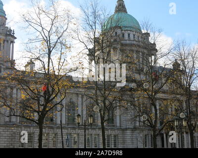 Ansicht der Belfast City Hall im Oktober 2019 Mit arbeiter in den Bäumen errichten Weihnachten Laternen. Stockfoto