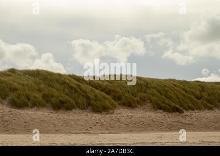 Blick auf die Dünen am Strand der Nordsee Stockfoto