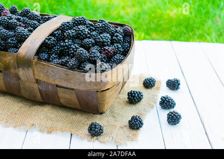 Korb mit frisch gepflückten Brombeeren auf einer hölzernen weissen Tisch vor dem hintergrund der grünen Gras. Stockfoto