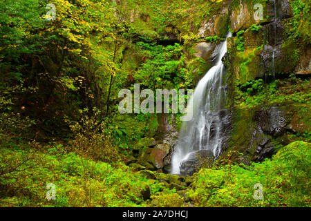 Elk Creek Falls, Siskiyou National Forest, Rogue-Coquille National Scenic Byway, Oregon Stockfoto