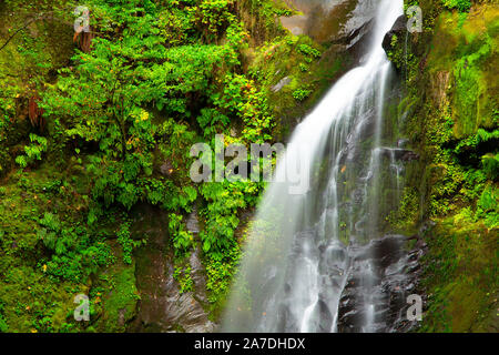 Elk Creek Falls, Siskiyou National Forest, Rogue-Coquille National Scenic Byway, Oregon Stockfoto