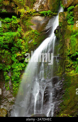 Elk Creek Falls, Siskiyou National Forest, Rogue-Coquille National Scenic Byway, Oregon Stockfoto