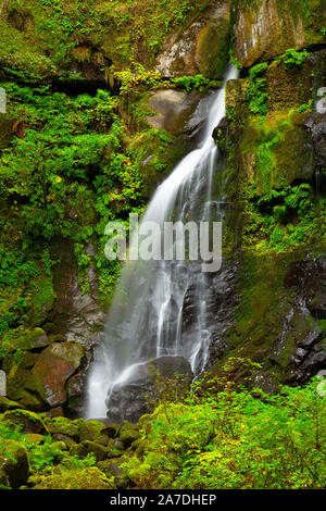 Elk Creek Falls, Siskiyou National Forest, Rogue-Coquille National Scenic Byway, Oregon Stockfoto