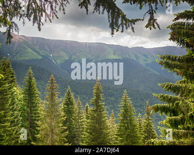 Spektakuläre Berglandschaft mit Wolken schweben über Berghänge mit Büschen der Rhododendron kotschyi in Fagaras Gebirge gefüllt in Rumänien Stockfoto