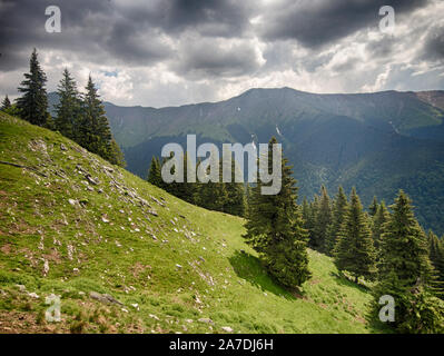 Spektakuläre Berglandschaft mit Wolken schweben über Berghänge mit Büschen der Rhododendron kotschyi in Fagaras Gebirge gefüllt in Rumänien Stockfoto