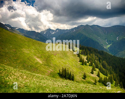 Spektakuläre Berglandschaft mit Wolken schweben über Berghänge mit Büschen der Rhododendron kotschyi in Fagaras Gebirge gefüllt in Rumänien Stockfoto
