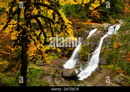 Coquille River Falls, Coquille River Falls Forschung Naturraum, Siskiyou National Forest, Oregon Stockfoto