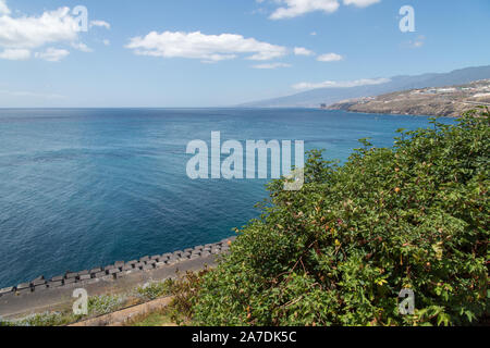 Insel Küste in der Nähe von Santa Cruz de Tenerife Blick von palmetum Botanischer Garten Stockfoto
