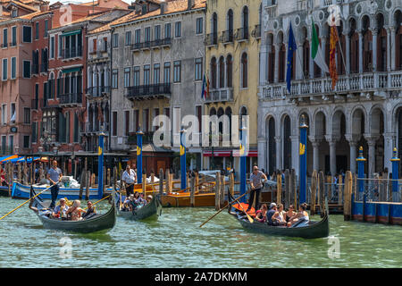 Venedig, Italien - 3. August 2019: Gandoliers fahren Touristen auf Gondeln am Canale Grande Stockfoto