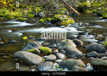 Bear Creek, Wallowa-Whitman National Forest, Oregon Stockfoto