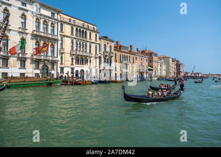 Venedig, Italien - 3. August 2019: Gandoliers fahren Touristen auf Gondeln am Canale Grande Stockfoto