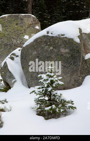Felsbrocken im Schnee im Anthony Seen, Wallowa-Whitman National Forest, Elkhorn Antrieb National Scenic Byway, Oregon Stockfoto