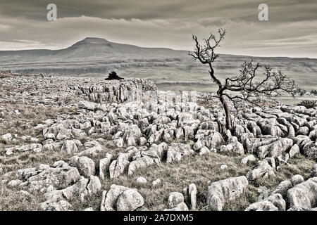 Narbe am Ende ist eine Siedlung an der Seite des Twistleton Narbe in der englischen Grafschaft North Yorkshire. Es ist von Ingleborough und Whernside 2 von umgeben Stockfoto