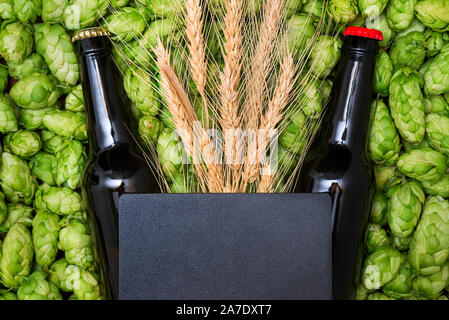 Ein Glas Flaschen Bier, grüne Kegel von Hopfen und Weizen Korn mit kopieren. Ansicht von oben. Freier Platz für Text Stockfoto