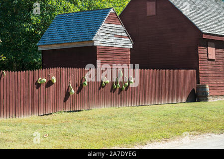 Colonial Williamsburg, Peyton Randolph House Nebengebäuden & Zaun, mit saisonal kürbisse eingerichtet. Helles Sonnenlicht. Blauer Himmel und tief rote Lackierung. Stockfoto