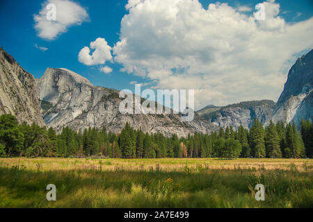 Blick auf den Half Dome vom Yosemite Valley, Meadow trail Cook, Yosemite NP, Kalifornien, USA. In der Nähe von Sehenswürdigkeiten: Yosemite Falls, Glacier Point, El Capitam. Stockfoto