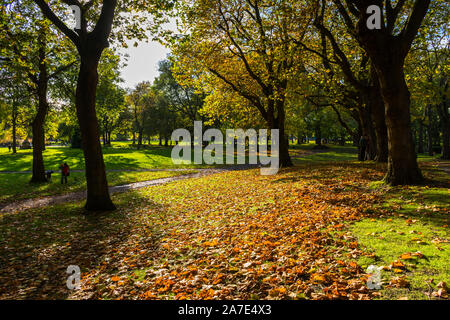 Herbstfarben in der Whitworth Park, Oxford Road, Manchester, England, Großbritannien Stockfoto