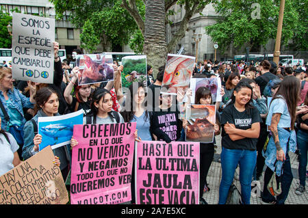 Buenos Aires, Argentinien. 1 Nov, 2019. Nov. 1, 2019 - Buenos Aires, Argentinien - vor 25 Jahren, der britische Sänger, DJ und Autor Louise Wallis, die zu der Zeit über die Vegane Gesellschaft des Vereinigten Königreichs unter dem Vorsitz beschlossen, den 1. November als Welt Vegan Tag zu etablieren. Von diesem Moment, an diesem Tag ist es üblich, sichtbar und Militär den Kampf für die Rechte der Tiere, eine Bewegung, die immer mehr Anhänger weltweit und das betrifft nicht nur die specism abzuschaffen, sondern auch die Umwelt zu schützen und ein gesünderes Leben führen. #1 N## antiespecismo veganismo Nr. j zu machen Stockfoto