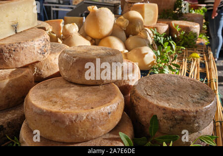 Casu marzu, sardische Käse mit Larven von Piophila Casei Stockfoto